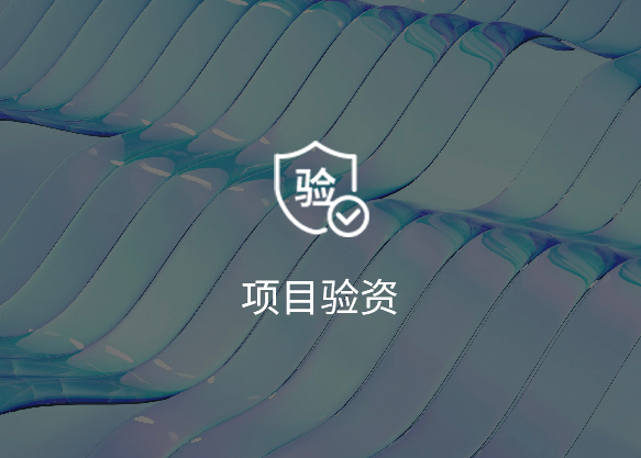 项目验资