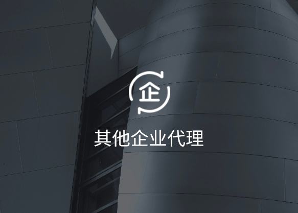 其他企业代理