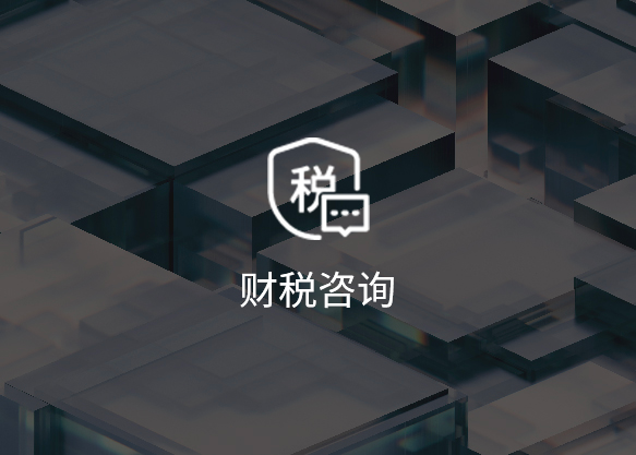财税咨询