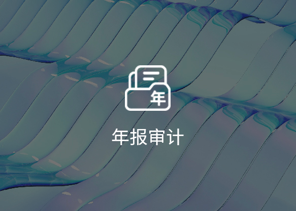 年报审计